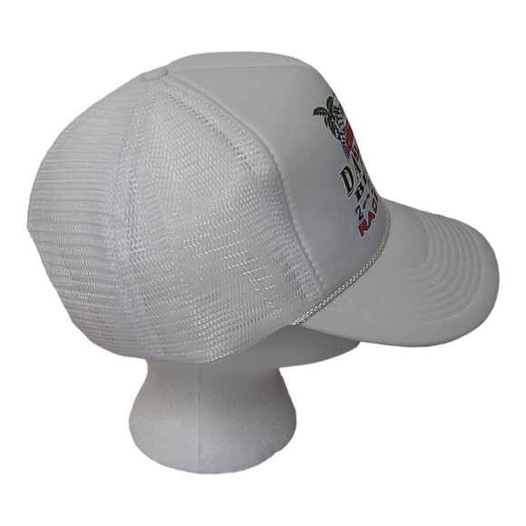 Vtg Daytona Beach Race Week 2001 Trucker Baseball Mesh Cap snapback - Picture 3 of 6